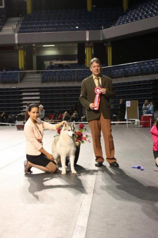 Dion's  Arctic Orchid 2012