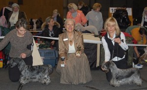 Balticwinner 2010