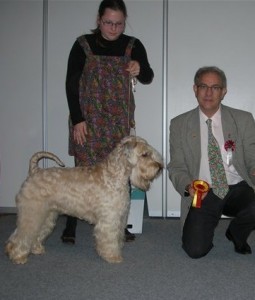 Glenn Tartu CACIB