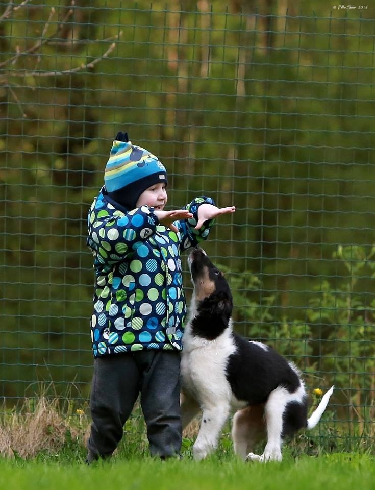 Dion\'s Arctic Ocean