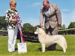 Snowmists legally blond