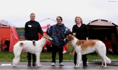 Taina rühmanaitusel