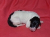 male1_0