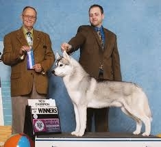 snowmist uriah artika