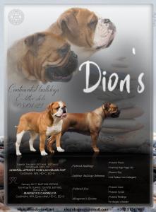 dions banner
